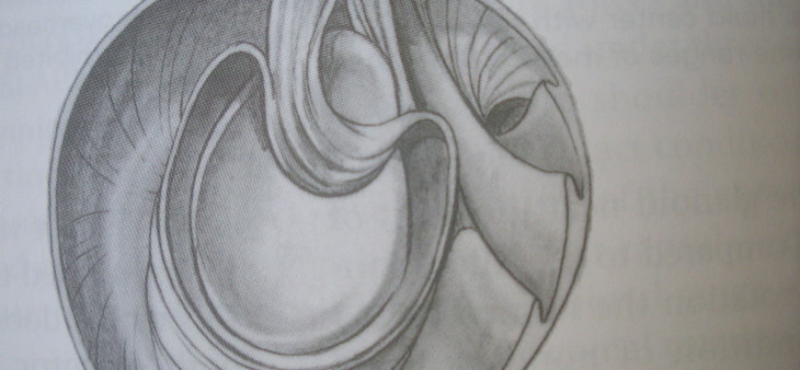 video-artroscopia-01